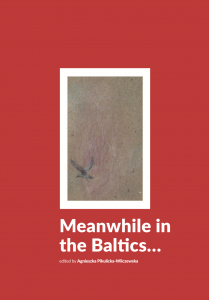 Baltic-Sea-Youth-Dialogue-publication-Meanwhile-in-the-Baltics-net-dragged-209x300