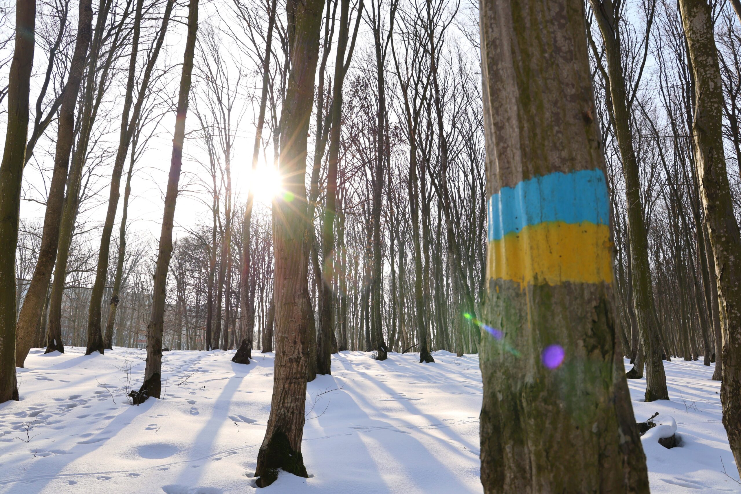 Attrition is not defeat: why Ukraine is not “losing” the war